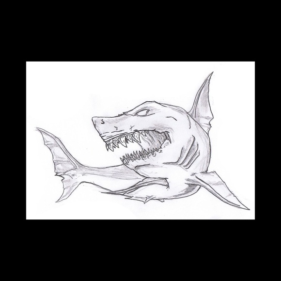 Meet your Posher, Carson - Picture 1 of 1