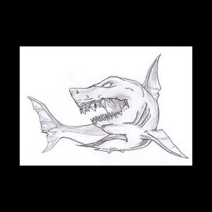 Meet your Posher, Carson