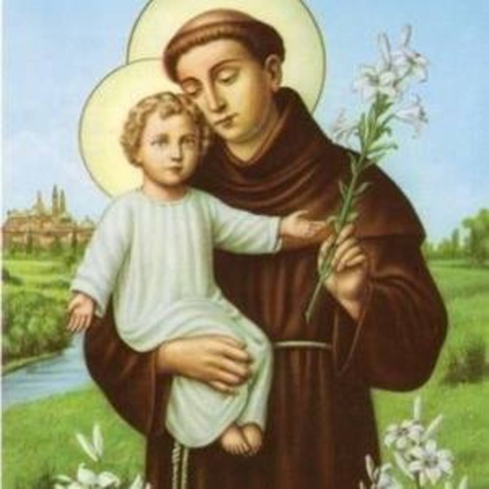 Meet your Posher, Chinyere