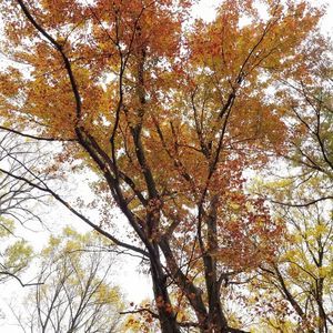 Meet your Posher, William h.