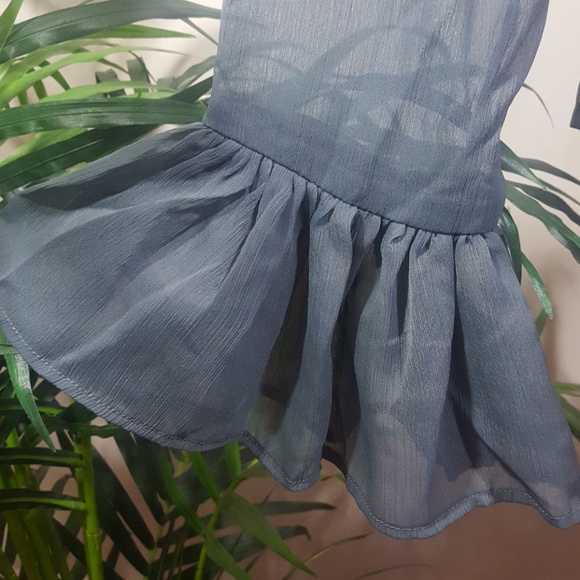 Walter Baker Peplum Sheer Embroidered Grey Top NWT!! - Picture 4 of 8