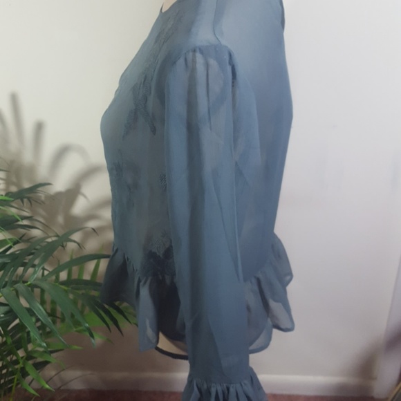 Walter Baker Peplum Sheer Embroidered Grey Top NWT!! - Picture 5 of 8