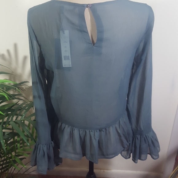 Walter Baker Peplum Sheer Embroidered Grey Top NWT!! - Picture 6 of 8