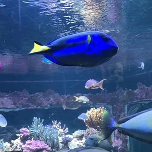 Meet your Posher, Erika