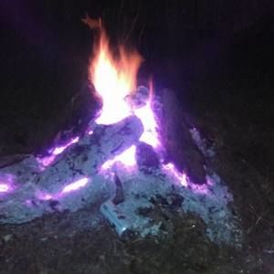 Meet your Posher, Scott