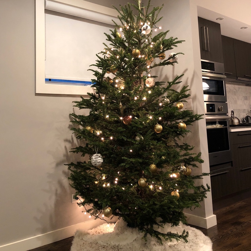 Meet your Posher, Britt