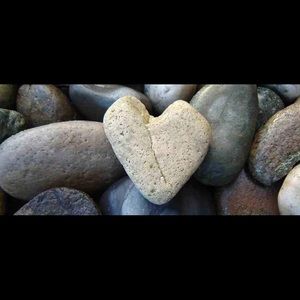 Meet your Posher, Judy