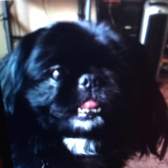 Meet your Posher, Mearl - Picture 1 of 1