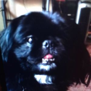 Meet your Posher, Mearl