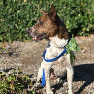 Meet your Posher, Jacob