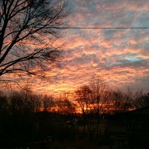 Meet your Posher, Cedric