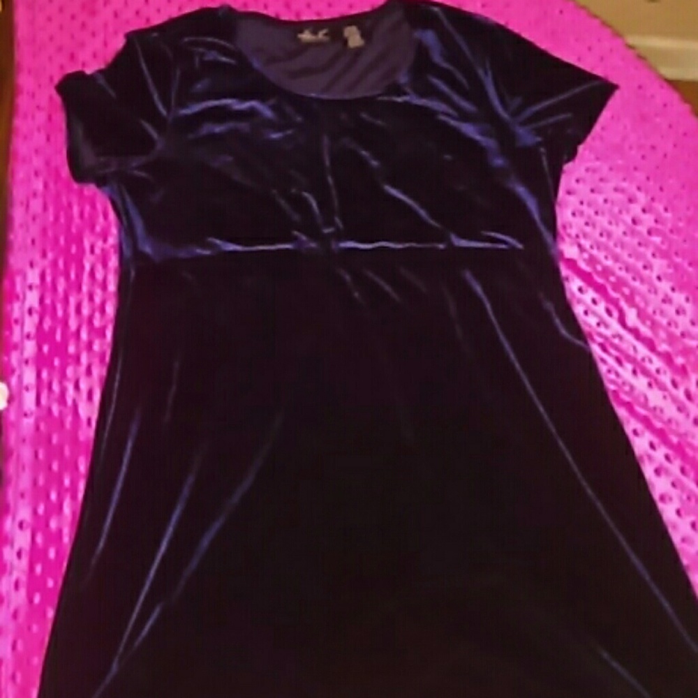 Blue velvet Skater dress