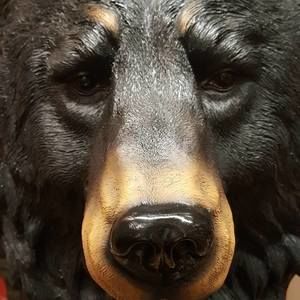 Meet your Posher, Ben