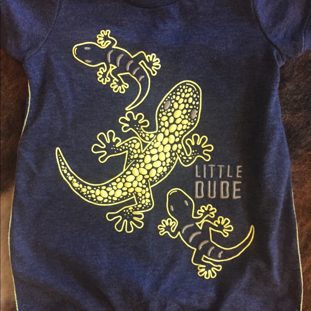 Gecko boys onesie
