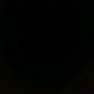 Meet your Posher, Tamara