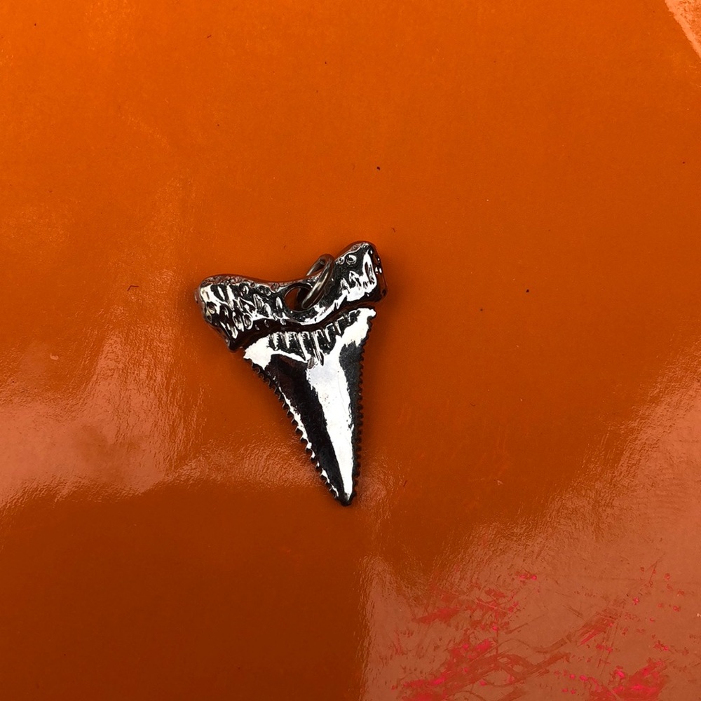 Shark Tooth Pendent