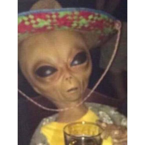 Meet your Posher, Jacob - Picture 1 of 1