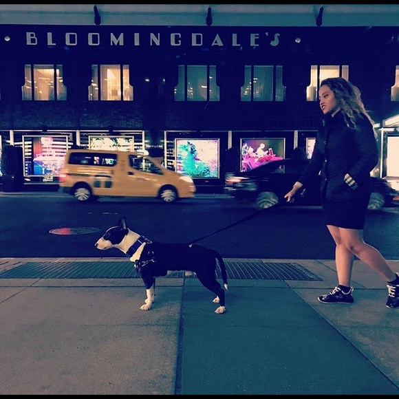 Meet your Posher, Darvy - Picture 2 of 3