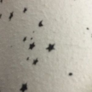 Meet your Posher, Deb