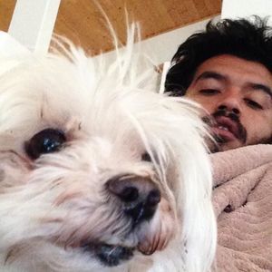 Meet your Posher, Angel