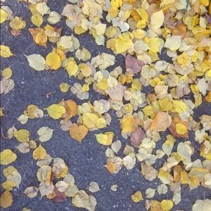 Meet your Posher, Amie