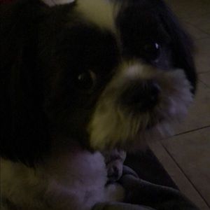 Meet your Posher, Cindy