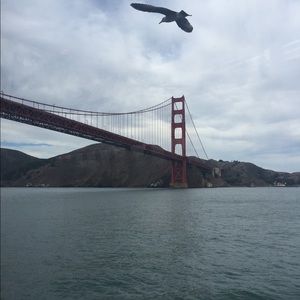 Meet your Posher, Francesca