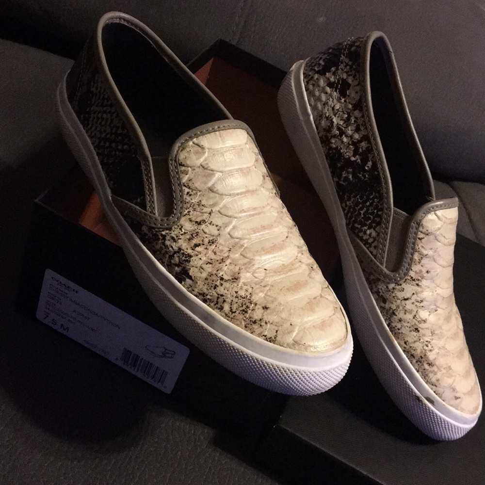 Coach shoes