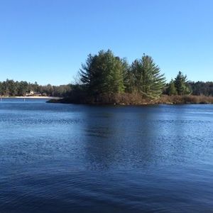 Meet your Posher, Ellie