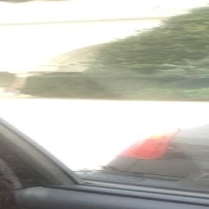 Meet your Posher, Paige