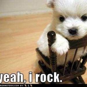 Meet your Posher, Chris