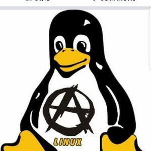 Meet your Posher, Buddy