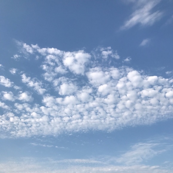 Meet your Posher, Andrew - Picture 1 of 1