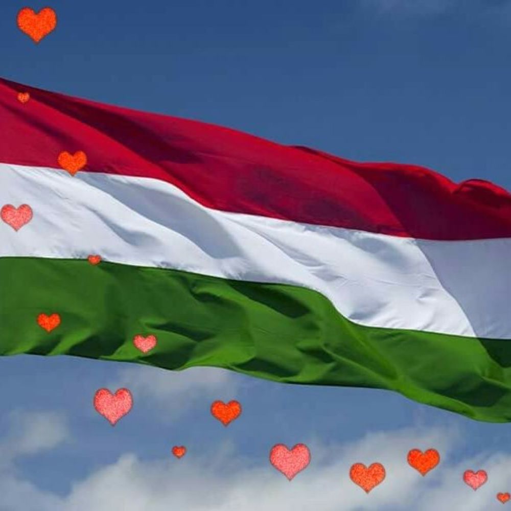 Meet your Posher, Maggie