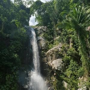 Meet your Posher, Terry