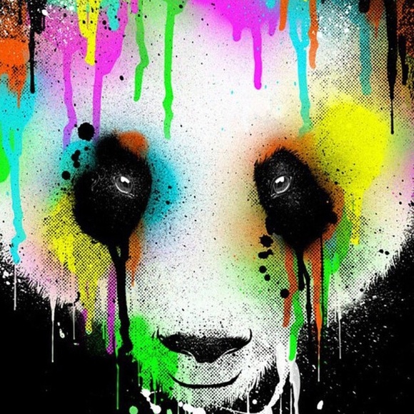 Meet your Posher, Ashton - Picture 1 of 1