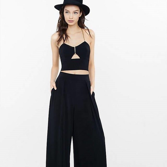 Express Pants - Express Wide Legged Size Medium Pleated Pants
