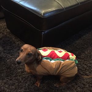 Meet your Posher, Jake