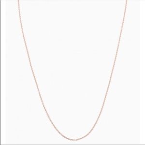 Rose hold delicate chain