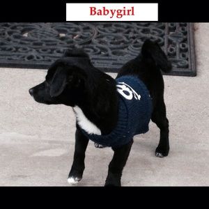 Meet your Posher, Wayne