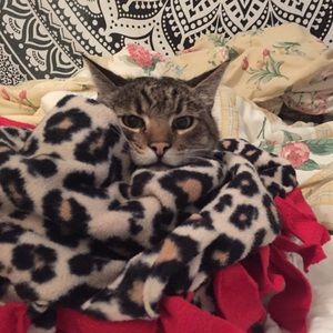 Meet your Posher, Tianna