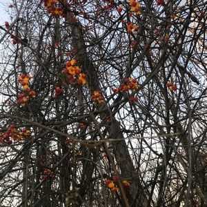 Meet your Posher, Rod