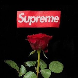 Meet your Posher, Armando