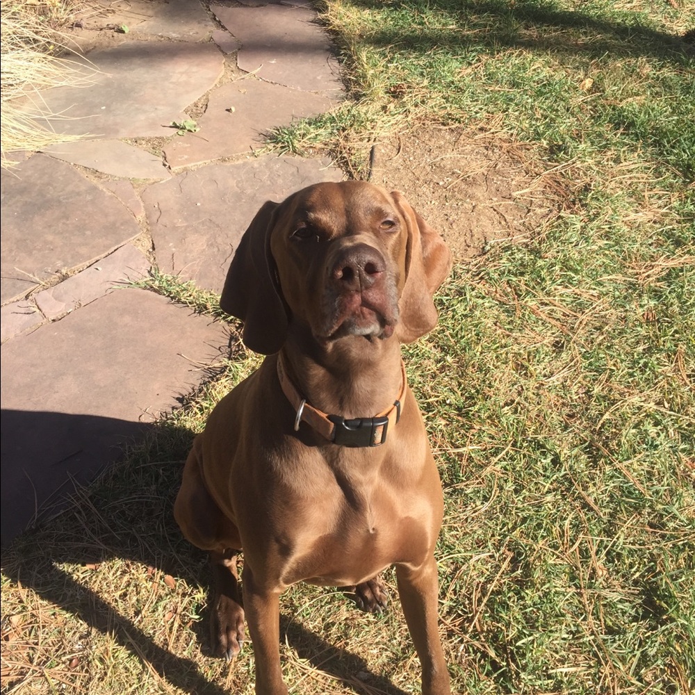 Meet your Posher, Jackson