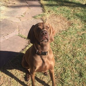 Meet your Posher, Jackson