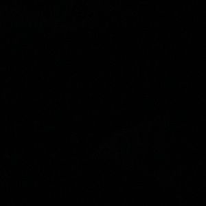 Meet your Posher, Mia