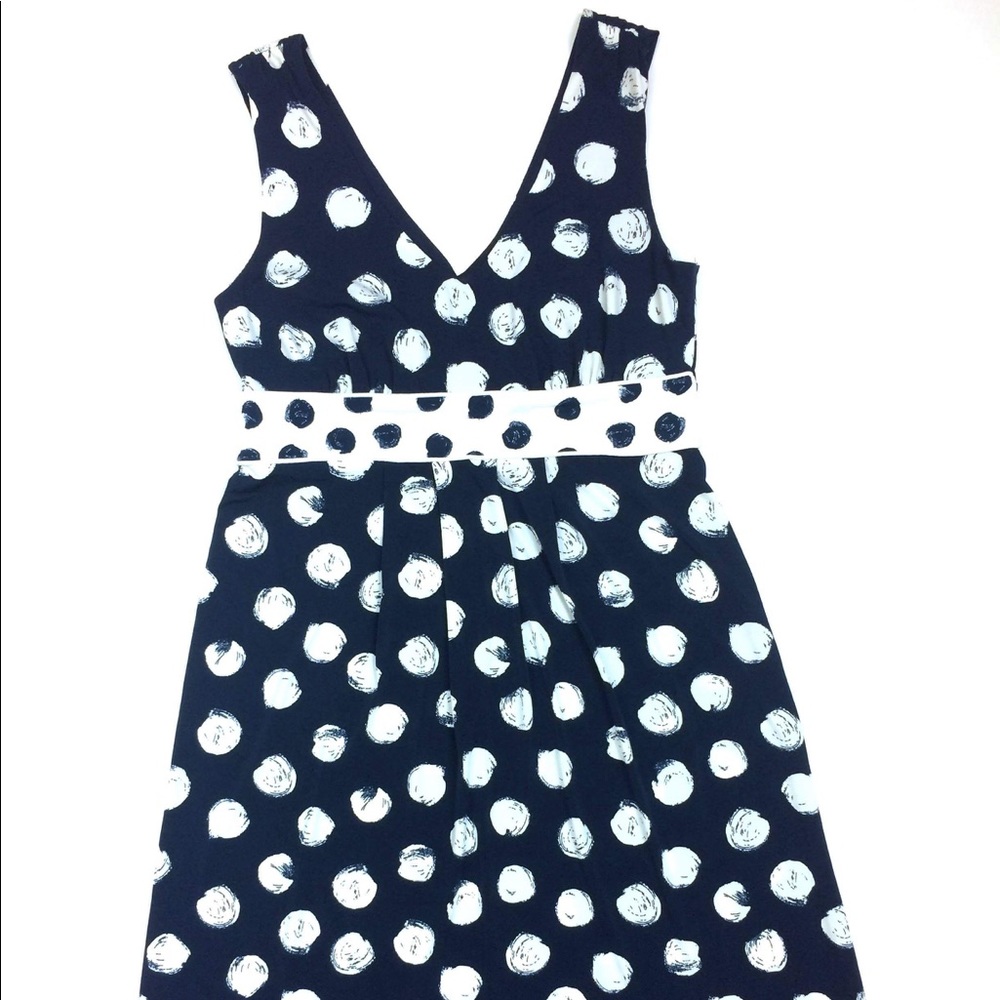 Navy and White Medium Knee length Dress
