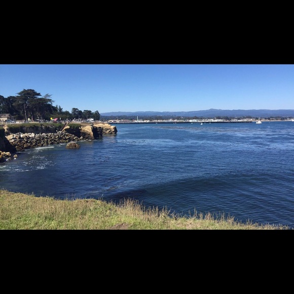 Meet your Posher, Liz - Picture 1 of 1