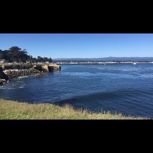 Meet your Posher, Liz