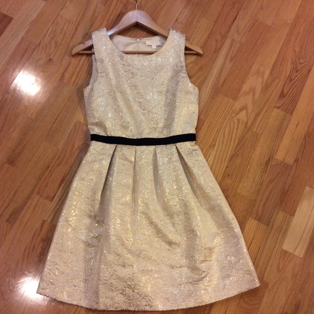 Gorgeous Erin dress
